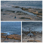 Malta drøm.