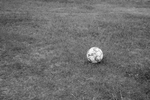 Fotball 