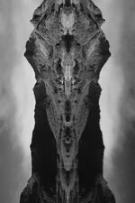 Symmetri