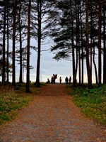 Ut mot havet!