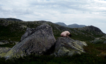 Former i fjellet