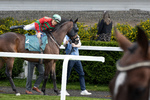 Jockey gjør seg klar på Norsk Derby