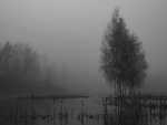 Høst