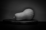 Stilleben
