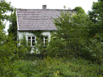 Naturen tar tilbake