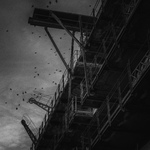 Havnen i Trieste 