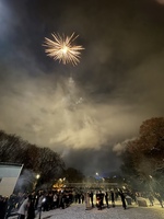Vel overstått 2024!
