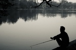 Lonely Fisherman. Hanoi, Vietnam