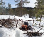 Påskeskog i Marka
