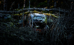 Volvo PV