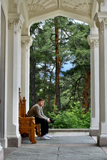 I skogen