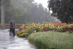 Sommerregn i Frognerparken