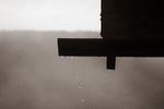 Regn