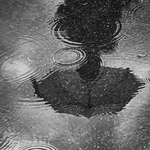Regn.