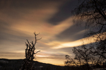 Januarhimmel