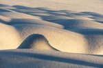 Undercover Haybales