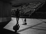 Walking the Dog