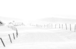 Storm