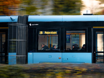 Blikkfang