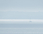 I tåkehavet