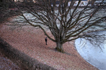 Solitudine