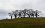 couple walk up a hill