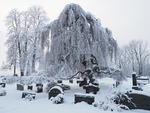 Gravlund