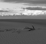 Whispers of Solitude
