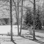 Sognsvann.