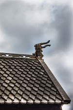 Dragon shouting to the sky