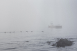 Foggy day at Huk.