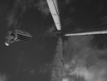 Crane