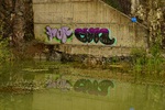 Gin toxic