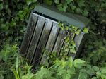 Naturen tar tilbake 3
