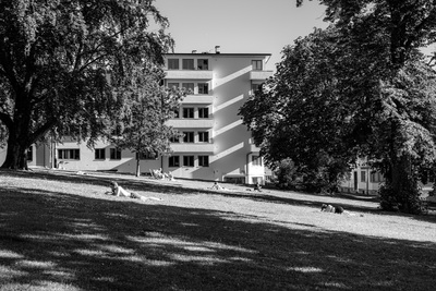 Bynatur