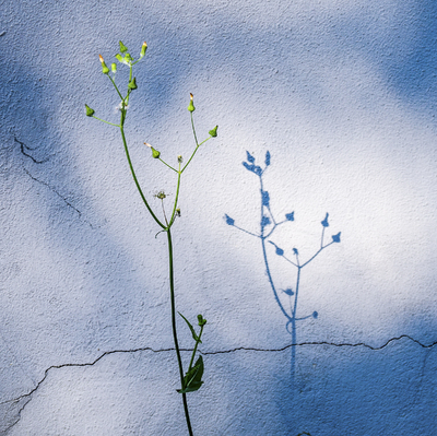 Bynatur