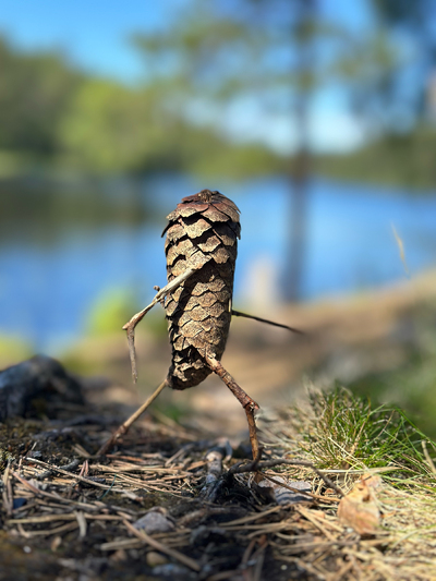 Ut på tur, aldri sur