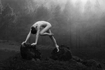 Elegance in the misty volcano