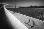 Along the Tejo