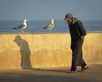The morning walk