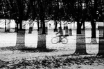 Vinterpark