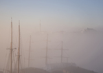 Foggy Pipervika.