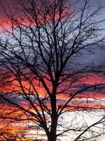 Solnedgang