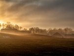 Vinterlys