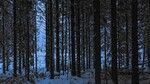 Black Forest