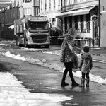 Marsnysnø i Birkelunden