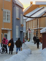 Vinterliv