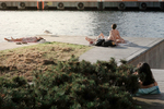Sommerdag