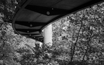 Under the Bridge