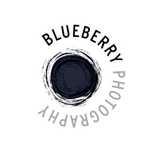 Blueberry Photography. Logo
